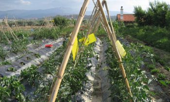 Más de 80 participantes asistieron a la presentación del primer   Plan Estratégico de Producción Ecológica de la Comarca