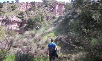 El GDR de Guadix aprueba 19 nuevos proyectos de inversión en la Comarca de Guadix