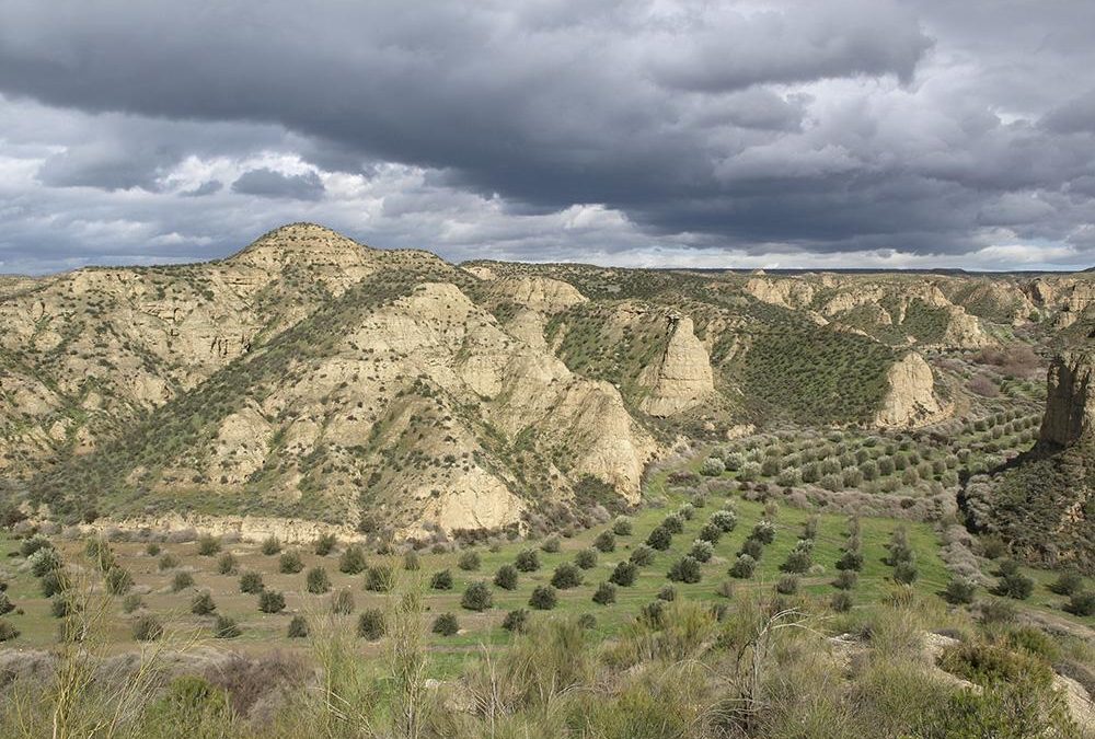 Cerro del Gallo