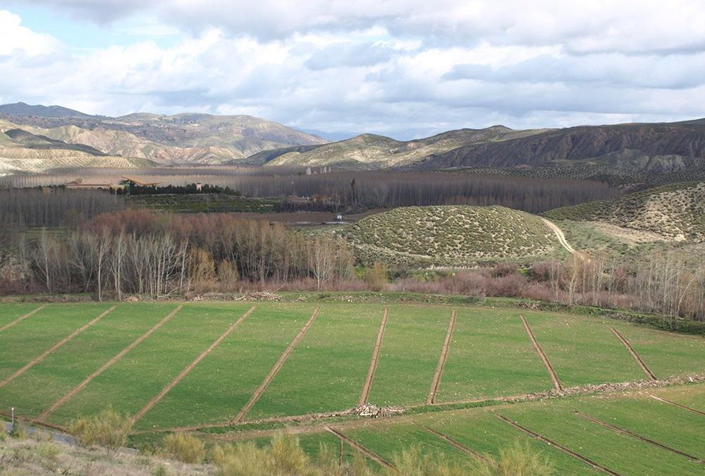 Cortijo de Almida