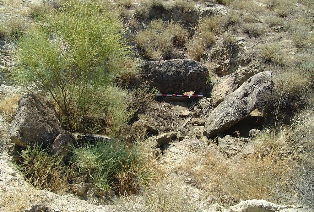 Dolmen Domingo 1