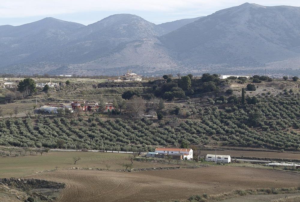 Cortijo Colorao