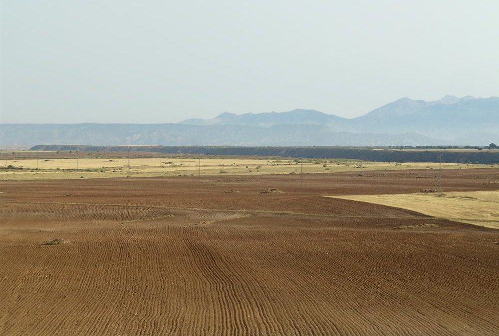 Llano del Cerrillo de las Liebres