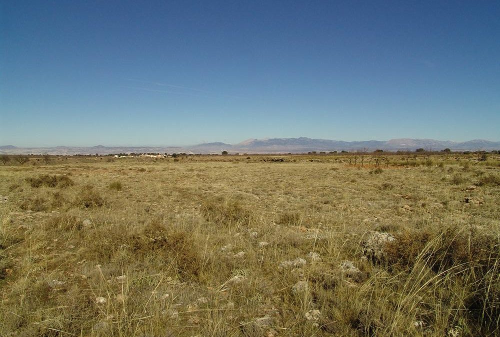 Punta de la Rambla de Baúl