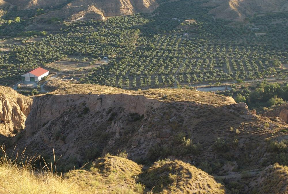 Fortaleza del Cuervo