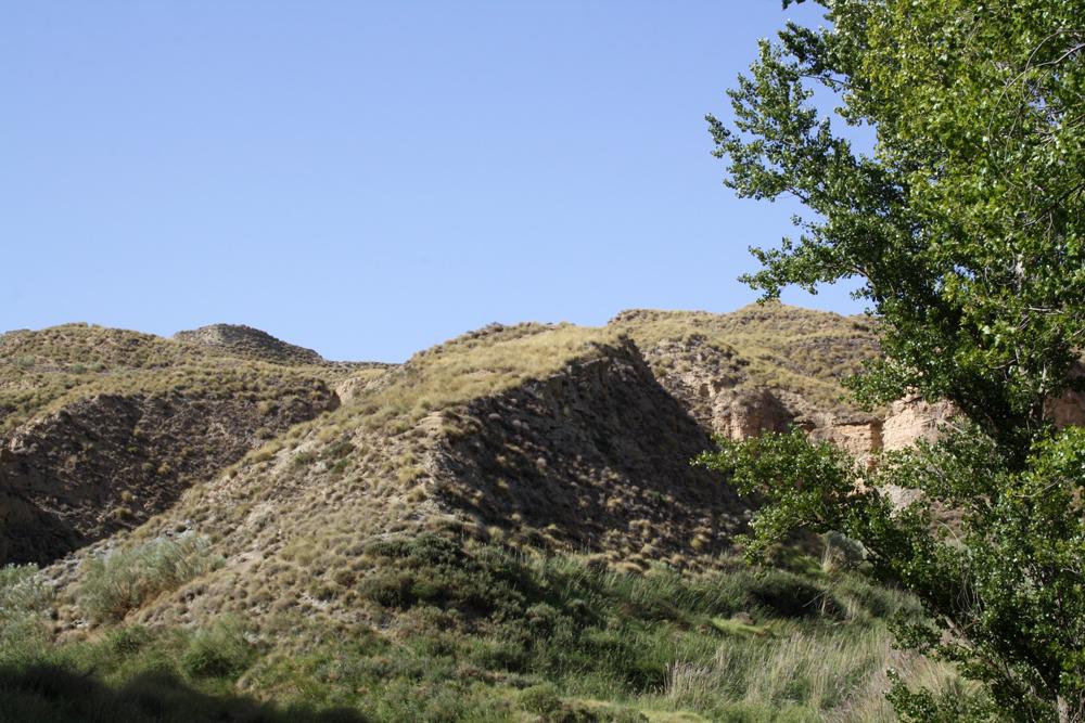 Cerro del Culantrillo