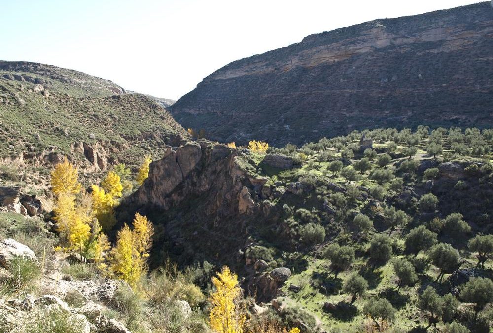 Fortín de Hoyas del Conquín