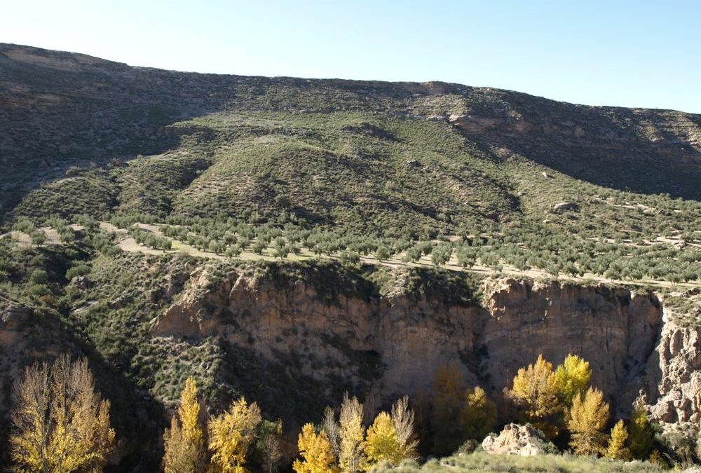 Umbría de las Hoyas del Conquín