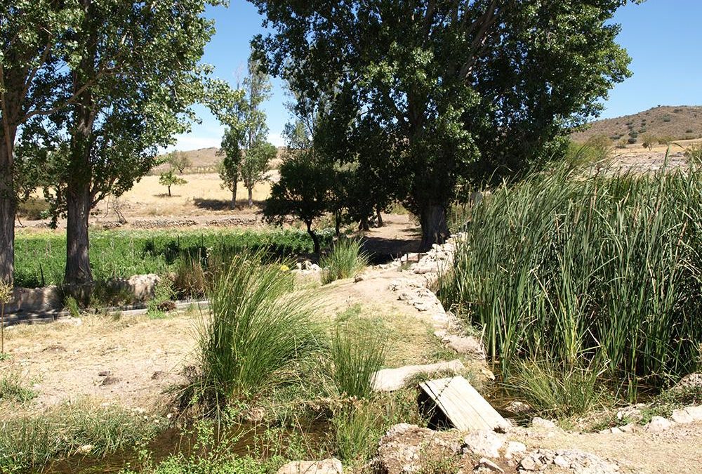 Fuente de San Torcuato