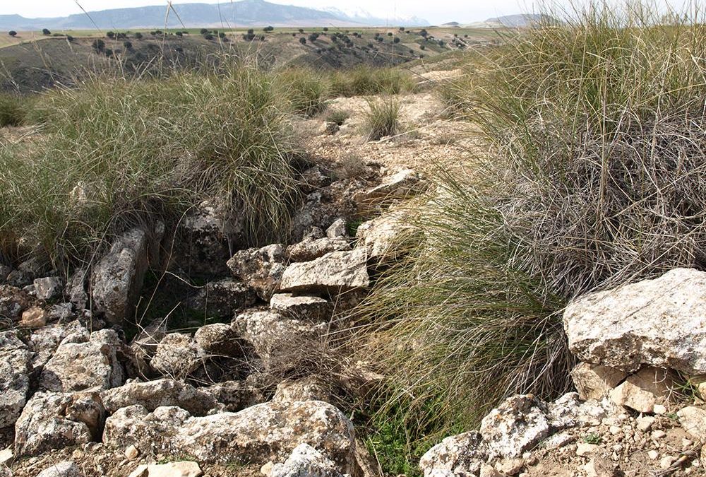 Dolmen del Espartal 4