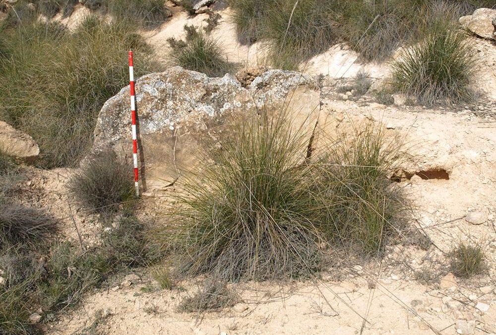 Dolmen del Espartal 6