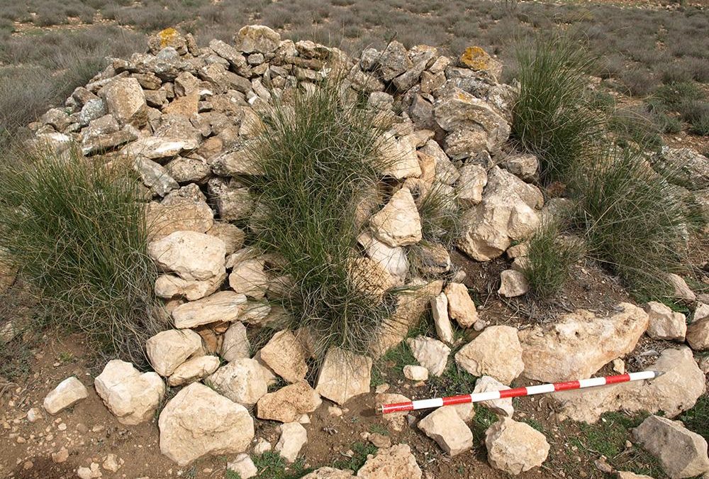 Dolmen del Espartal 11