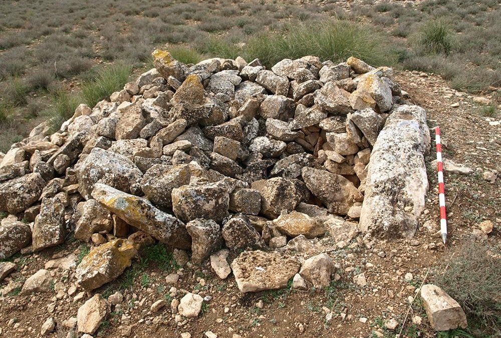 Dolmen del Espartal 12