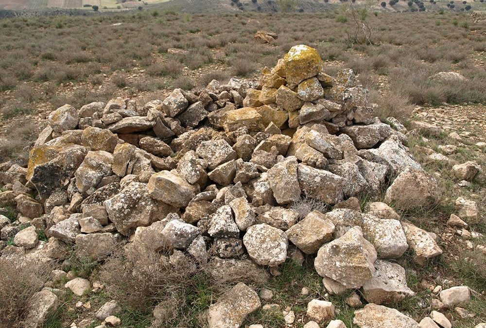 Dolmen del Espartal 13