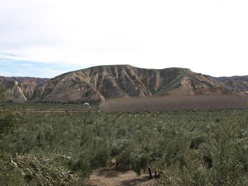 Cerro Forruchu