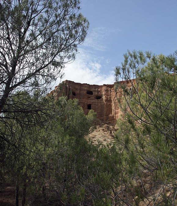 Cueva de los Anteojos