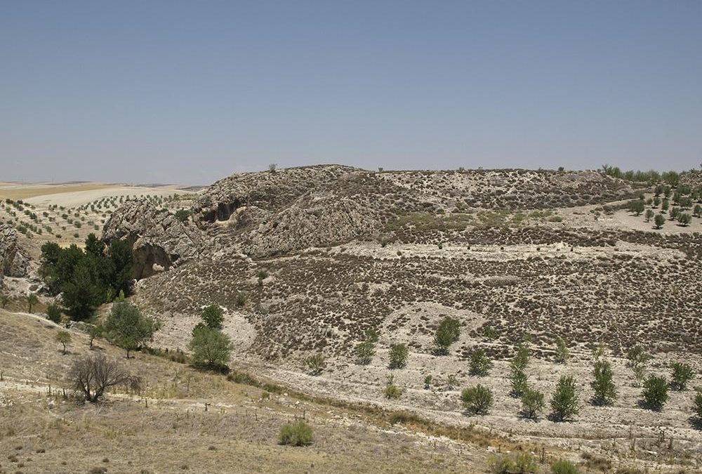 Cerro de los Castellones