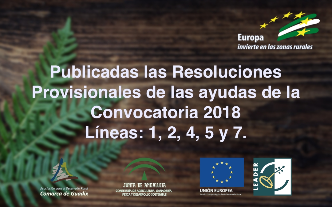 Publicadas las Resoluciones Provisionales de las ayudas de la Convocatoria 2018 Líneas: 1, 2, 4, 5 y 7.