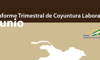 Informe trimestral de coyuntura laboral de la Comarca de Guadix