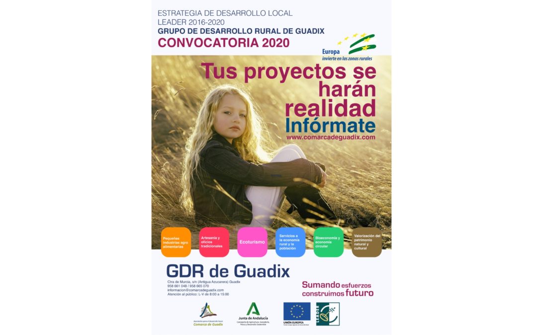 CONVOCATORIA DE AYUDAS 2020 Estrategia de Desarrollo Local Leader 2016-2020 Comarca de Guadix