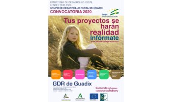 CONVOCATORIA DE AYUDAS 2020 Estrategia de Desarrollo Local Leader 2016-2020 Comarca de Guadix