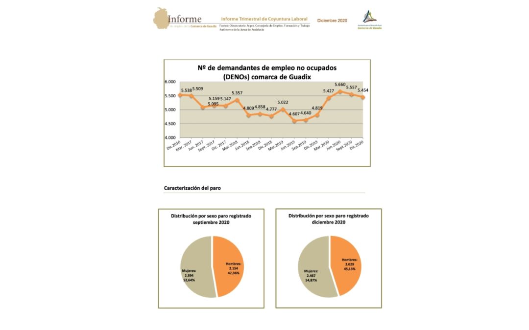 “Informe de empleo en la Comarca de Guadix”