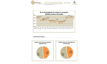 “Informe de empleo en la Comarca de Guadix”