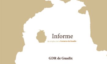 Informe trimestral de coyuntura laboral de la Comarca de Guadix. 1er Trimestre 2021.