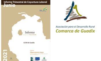 INFORME TRIMESTRAL DE COYUNTURA LABORAL DE LA COMARCA DE GUADIX. II Trimestre 2021.