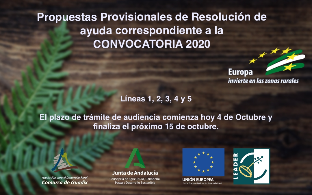 Publicadas las Propuestas Provisionales de Resolución de ayuda correspondiente a la convocatoria 2020.