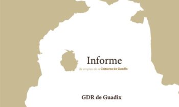 Informe trimestral de coyuntura laboral de la Comarca de Guadix. Tercer trimestre de 2021 (datos actualizados a septiembre).