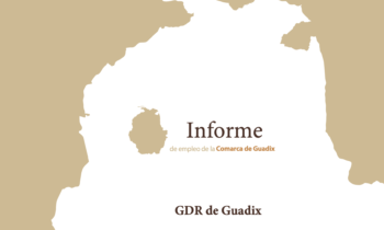 Informe trimestral de coyuntura laboral de la Comarca de Guadix. CUARTO trimestre de 2021 (datos actualizados a diciembre).
