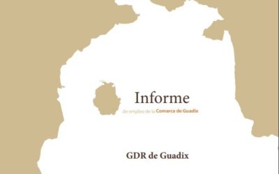 El informe de coyuntura laboral de la Comarca de Guadix correspondiente al primer trimestre del año 2022 refleja un pequeño aumento en el número de demandantes de empleo respecto al trimestre anterior.