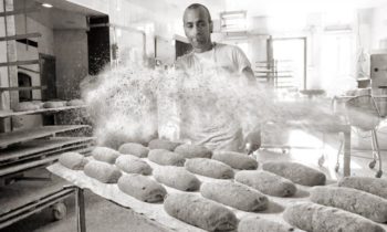 El GDR de Guadix aprueba tres nuevos proyectos que impulsarán los productos locales de la Comarca de Guadix, dotados con 178.701,24 € en subvenciones
