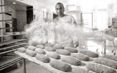 El GDR de Guadix aprueba tres nuevos proyectos que impulsarán los productos locales de la Comarca de Guadix, dotados con 178.701,24 € en subvenciones