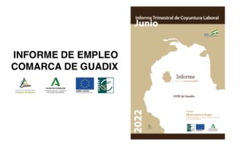 Informe Trimestral de Coyuntura Laboral en la Comarca de Guadix. Segundo trimestre de 2022.