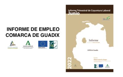 Informe Trimestral de Coyuntura Laboral en la Comarca de Guadix. Segundo trimestre de 2022.