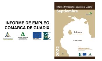 Informe Trimestral de Coyuntura Laboral en la Comarca de Guadix. Tercer trimestre de 2022.