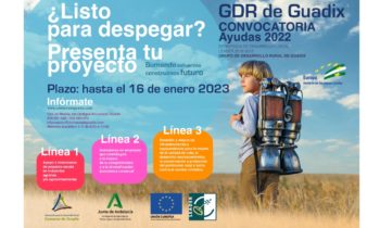CONVOCATORIA DE AYUDAS 2022 Estrategia de Desarrollo Local Leader 2016-2020 Comarca de Guadix