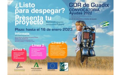 CONVOCATORIA DE AYUDAS 2022 Estrategia de Desarrollo Local Leader 2016-2020 Comarca de Guadix