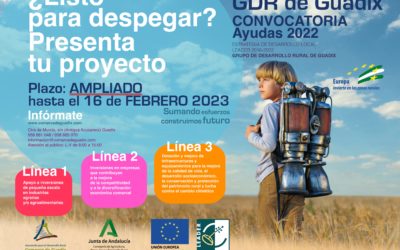 Convocatoria ayudas GDR de Guadix: AMPLIADO EL PLAZO HASTA EL 16 DE FEBRERO DE 2023.