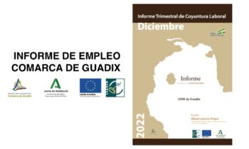 Informe Trimestral de Coyuntura Laboral en la Comarca de Guadix. Cuarto trimestre de 2022.