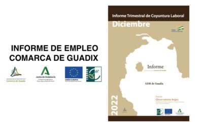 Informe Trimestral de Coyuntura Laboral en la Comarca de Guadix. Cuarto trimestre de 2022.
