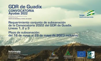 Publicado el Requerimiento conjunto de subsanación de la Convocatoria 2022 del GDR de Guadix: Líneas 1, 2 y 3