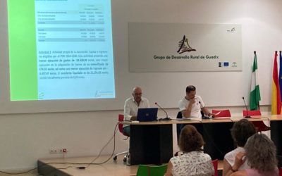 Asamblea General en el GDR de Guadix