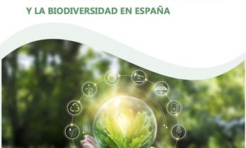 Estudio: EMPLEO Y TRANSICIÓN ECOLÓGICA. YACIMIENTOS DE EMPLEO, TRANSFORMACIÓN LABORAL Y RETOS FORMATIVOS EN LOS SECTORES RELACIONADOS CON EL CAMBIO CLIMÁTICO Y LA BIODIVERSIDAD EN ESPAÑA