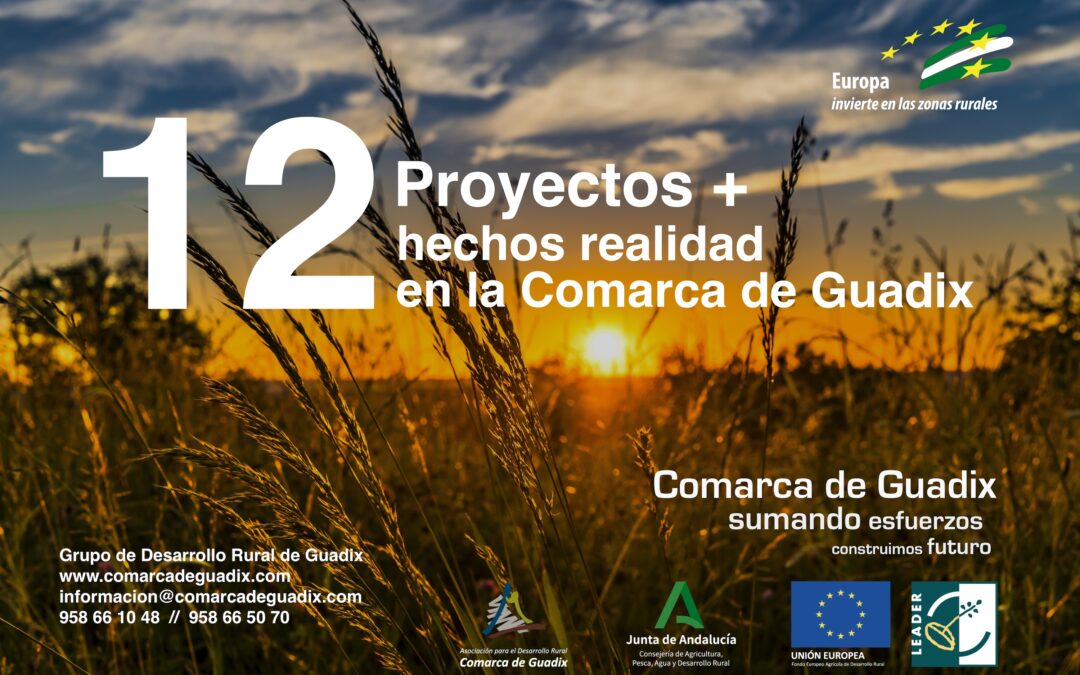 El GDR de Guadix subvenciona los proyectos de 12 empresas de la comarca con un importe total de ayuda pública cercano al medio millón de euros