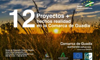 El GDR de Guadix subvenciona los proyectos de 12 empresas de la comarca con un importe total de ayuda pública cercano al medio millón de euros