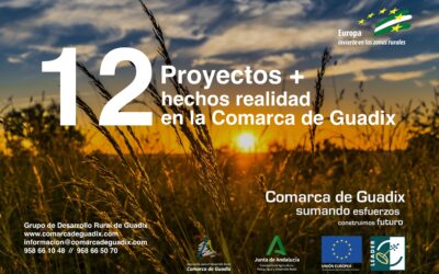 El GDR de Guadix subvenciona los proyectos de 12 empresas de la comarca con un importe total de ayuda pública cercano al medio millón de euros