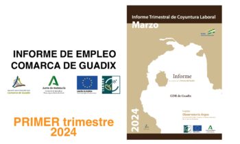 Informe Trimestral de Coyuntura Laboral en la Comarca de Guadix. PRIMER trimestre de 2024.
